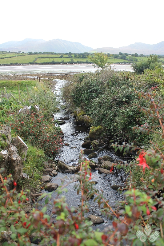 Cours d'eau - Irlande